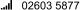 02603 5877